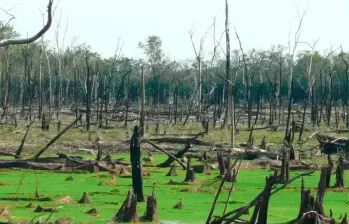 12 menonitas mexicanos irán a juicio por presunta apropiación ilícita de predios en el Meta, Colombia. FOTO: Colprensa