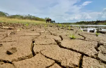 El 50% del agua que se consume en el mundo ahora se obtiene de las aguas subterráneas. FOTO: Colprensa