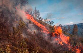 En Medellín se presentaron ya ocho incendios forestales este año. FOTO: Cortesía