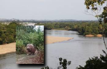 El avistamiento se produjo en límites entre el departamento de Antioquia y Boyacá. FOTOS: Cortesía 