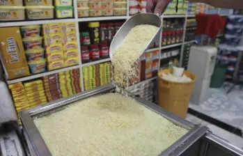 Cada vez se siembra más arroz, pero los precios por tonelada disminuyen $553.000. FOTO: El Colombiano.Cada vez se siembra más arroz, pero los precios por tonelada disminuyen $553.000. FOTO: El Colombiano.
