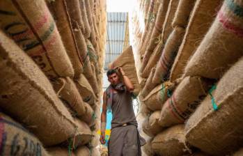 El 69% del café pendiente en las cooperativas fueron saldados, en el primer día de apertura del Plan de Acción Solidario (PAS) de la Federación Nacional de Cafeteros. FOTO: El Colombiano.