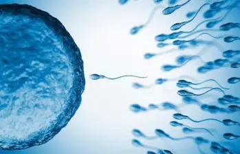 La Organización Mundial de la Salud publicó su primer perfil de producto objetivo para métodos anticonceptivos masculinos, un documento que define las características que deberían reunir los futuros métodos y busca orientar a investigadores, financiadores y desarrolladores. FOTO GETTY