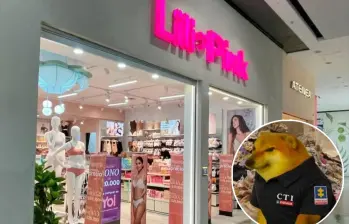 Mientras avanzan las investigaciones sobre Lili Pink en varias ciudades del país, en redes sociales los usuarios han reaccionado con una ola de memes a la situación. FOTO: Manuel Saldarriaga, redes sociales. 