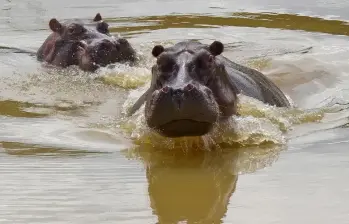 FOTO: JUAN ANTONIO SÁNCHEZ / EL COLOMBIANO