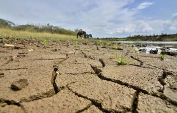 Uno de los asuntos que más preocupa es que la época de sequía no solo traerá altas temperaturas e incendios forestales, sino que afectaría fuertemente la producción de alimentos. Foto: Colprensa