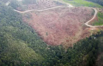 La Procuraduría llamó la atención por la relación directa entre la apertura de vías irregulares, con el avance de los cultivos ilícitos y el crecimiento descontrolado de la frontera agropecuaria. FOTO: Juan Antonio Sánchez
