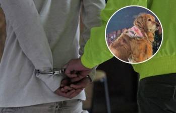 Según el Grupo Especial para la Lucha Contra el Maltrato Animal (Gelma) de la Fiscalía, el hombre podría enfrentar una pena de 12 a 36 meses de prisión por el delito de maltrato animal agravado. FOTO: COLPRENSA | FISCALÍA