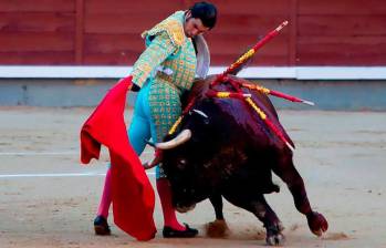 En Cámara aprobaron el proyecto que prohíbe las corridas de toros en Colombia. Foto: Getty