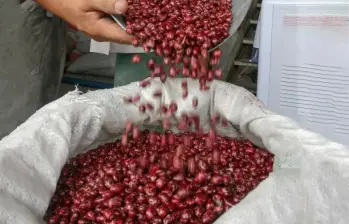 Las tarifas arancelarias serán diferenciadas: 35%, 50% y 75%, dependiendo del nivel de producción nacional y la capacidad de abastecimiento interno. Foto: Juan Antonio Sánchez