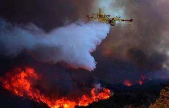 Ocho de los muertos fueron encontrados en la zona del incendio de Palisades y 16 en la zona del incendio de Eaton. FOTO: Getty