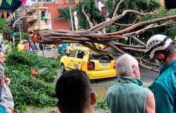 Pueden existir ocasiones en las que un árbol está en mal estado y genera accidentes, por lo que es fundamental informar a las autoridades para evitar este tipo de casos. FOTO: MANUEL SALDARRIAGA 