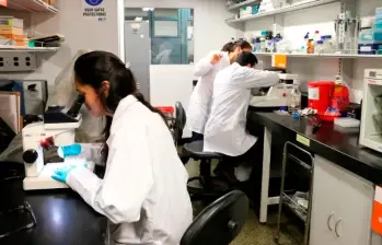 En 2023 se reportaron 39.720 estudios clínicos nuevos a nivel mundial, de los cuales aproximadamente 100 fueron registrados en Colombia. FOTO ARCHIVO
