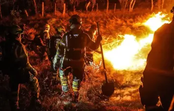 ¿Por qué los suelos y el ecosistema del Tolima favorecen la propagación de los incendios forestales? FOTO: Bomberos de Bogotá 