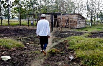 Los paramilitares despojaron más de 20.000 hectáreas en Urabá. FOTO: JUAN ANTONIO SÁNCHEZ