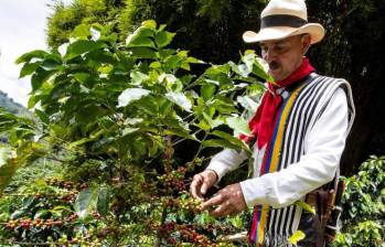 El presidente de Illycaffè, Andrea Illy, advirtió a Bloomberg que el reciente repunte podría llevar a aumentos del 20% al 25% en los precios minoristas en los próximos meses. FOTO: Esneyder Gutiérrez