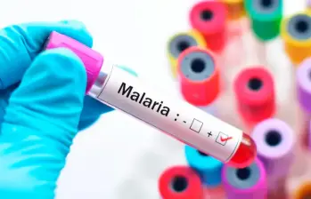 La malaria es una enfermedad tropical transmitida principalmente por la picadura de un mosquito. FOTO SSTOCK