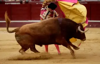 Las corridas de toros quedaron prohibidas en Colombia después de que el Congreso aprobara un proyecto de ley en ese sentido. FOTO COLPRENSA