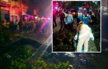 El árbol que cayó en la noche del lunes 24 de febrero dejó a dos policías gravemente heridos. FOTO: Cortesía