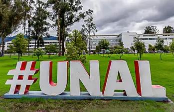 En el audio, dado a conocer en agosto de 2024, el secretario general de Sintraunal, Juan Carlos Arango, presuntamente, afirmaría haber recorrido distintas regiones del país en compañía de algunos miembros del Consejo Superior Universitario (CSU). FOTO: Captura de video