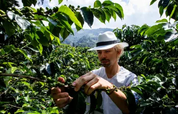 El sector cafetero considera que el comportamiento de la tasa de cambio es clave para la competitividad de las exportaciones colombianas.FOTO JULIO CÉSAR ECHEVERRY. 