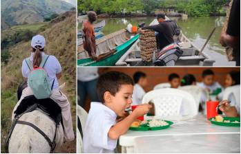 Antioquia reduce la inseguridad alimentaria con programas que llegan hasta las zonas más apartadas del departamento. FOTOS Cortesía