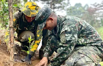Imagen de referencia de una jornada de siembra en el Bosque de los Héroes de Medellín. FOTO: Cortesía.