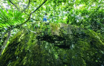Mientras la geología atribuye su apariencia al proceso de meteorización y erosión del suelo, la comunidad mantiene viva la creencia de un fenómeno prodigioso. FOTO Julio Herrera