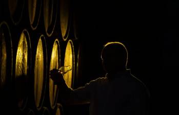 Cada gota es el resultado de años de espera. Desde la caña de azúcar hasta la bodega, el proceso del ron integra territorio, técnica y tradición en una cadena que demuestra que el tiempo, cuando se respeta, deja huella. FOTOS: Camilo Suárez