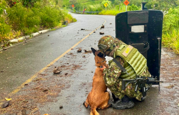 El equipo especializado en neutralización de explosivos adelantó el operativo. Foto: cortesía Ejército.