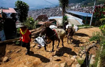 Como Nueva Jerusalén no cuenta con vías, sus construcciones avanzan todos los días a lomo de mula. FOTO: JULIO CÉSAR HERRERA