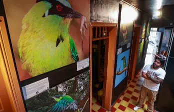 Alas de vida, una exposición para conocer las aves que habitan el Valle de Aburrá
