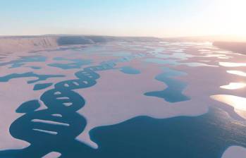 Para realizar el trabajo, el equipo investigador analizó muestras de agua de mar recogidas durante la expedición Tara Oceans Polar Circle. Foto: Cortesía Sinc