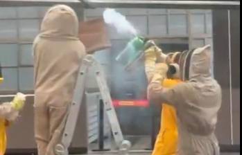 El incidente hizo necesaria la presencia de personal especializado que se encargó de trasladar el panal. FOTO: IMAGEN TOMADA DE VIDEO