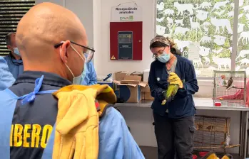 Uno de los miembros de los bomberos recibiendo la capacitación. FOTO: Cortesía
