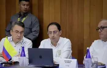 El vicepresidente José Manuel Restrepo anunció que proyectos relacionados con minerales críticos del Tolima podrían presentarse a inversionistas internacionales en Nueva York. FOTO CORTESÍA