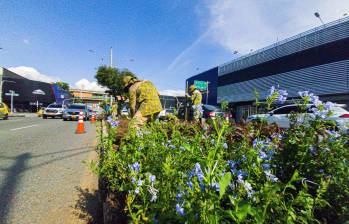 La avenida 33 está siendo intervenida con 5 tramos de vegetación para cambiar el anterior asfalto. FOTO: Alcaldía de Medellín