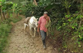 Fabio de Jesús Berrío es un campesino de Ciudad Bolivar. FOTO: ARCHIVO FAMILIAR