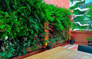 Los muros verdes o jardines verticas son una de las tendencias contemporáneas. 