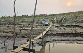 El caudal del río Amazonas se redujo hasta un 80 % en lo corrido del 2024. FOTO: Cortesía Unicef