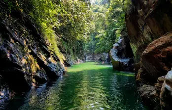 El cañón del río Melcocho conserva una de las mayores biodiversidad en Antioquia. FOTO: JULIO HERRERA