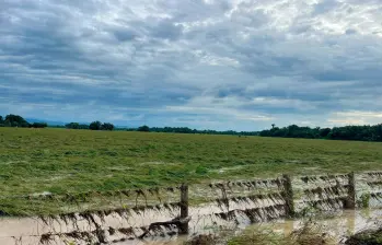 Las inundaciones afectaron cultivos de arroz, vías terciarias, jarillones y fincas en Casanare y Arauca, según Fedearroz. FOTO: CORTESÍA