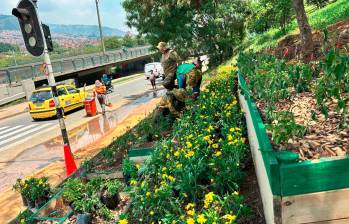 Estas jardineras, con flores y algunas otras especies, ya decoran el sector de Moravia que estaba invadido por los escombros. FOTO: CORTESÍA