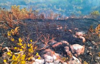 UNGR dice que se ha logrado controlar más del 50% del incendio forestal en la isla de Providencia. Foto: Colprensa. 