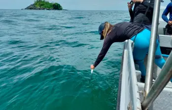 Investigadores durante el trabajo de campo en el Golfo de Urabá, donde recolectaron muestras de la microcapa superficial marina para su análisis en laboratorios especializados. FOTO cortesía UdeA