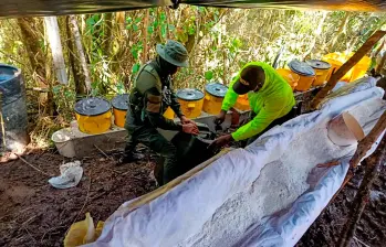El laboratorio estaba camuflado en medio de la vegetación en un área rural y dipuesto en chozas cubiertas por plásticos. FOTO: CUARTA BRIGADA