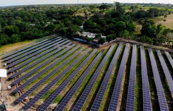 Las minigranjas solares permiten generar energía cerca del consumo, reduciendo pérdidas y mejorando la eficiencia del sistema eléctrico en Colombia. FOTO Cortesía