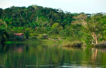 Cuerpo de agua en el Amazonas. Foto: Pixabay.
