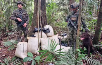 Un perro entrenado fue clave para encontrar los bultos con los explosivos en la selva. FOTO: CORTESÍA DEL EJÉRCITO.
