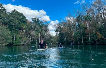 Aventuras acuáticas en Crystal River y el condado de Citrus